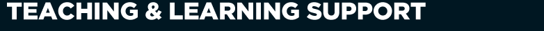 Teaching and Learning Support